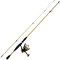 Leisure Sports Fishing Rod and Reel Combo, Spinning Reel Pole, Gear for Bass, Trout Fishing, Gold, Strike Series 914171PJA - alternate 3